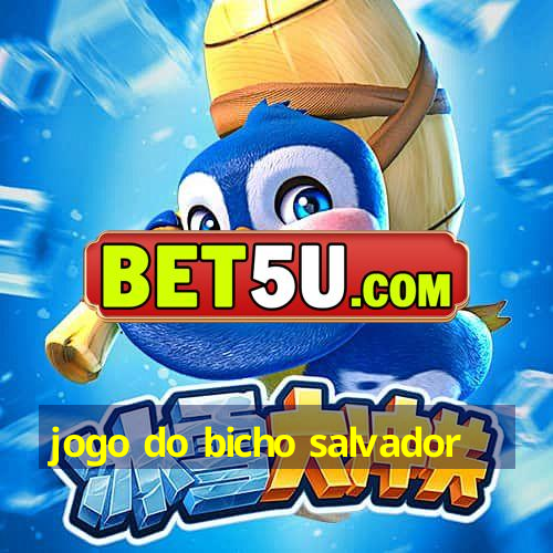 jogo do bicho salvador